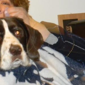 Meet your Posher, Cheryl